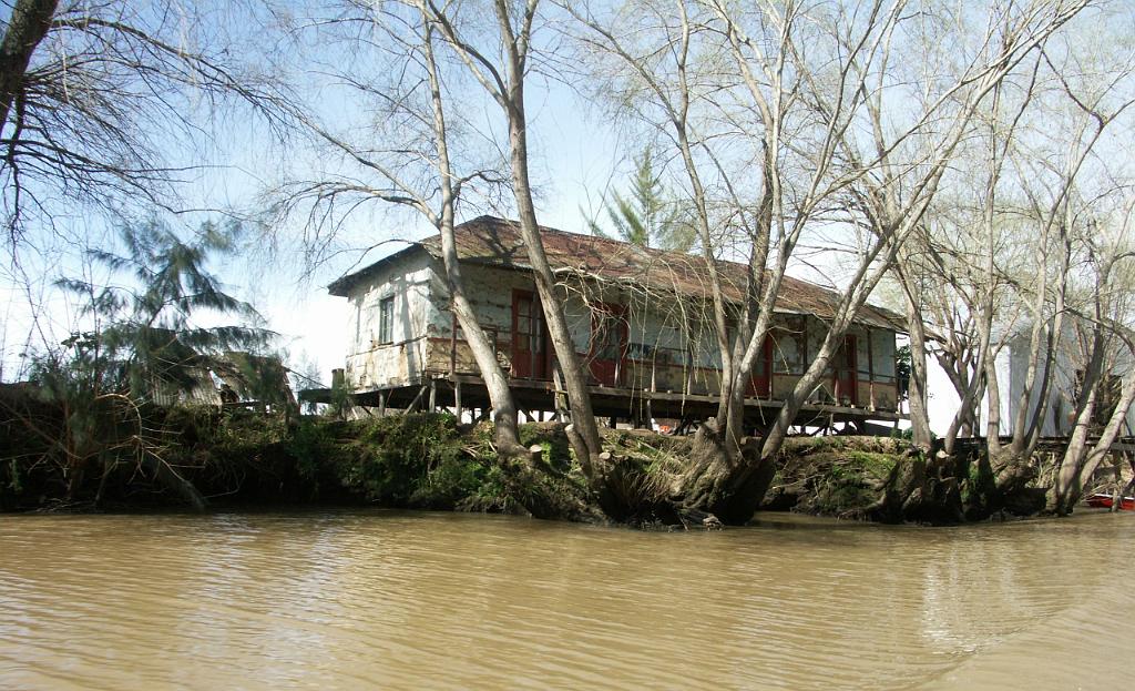 090822_Parana_delta 052.jpg